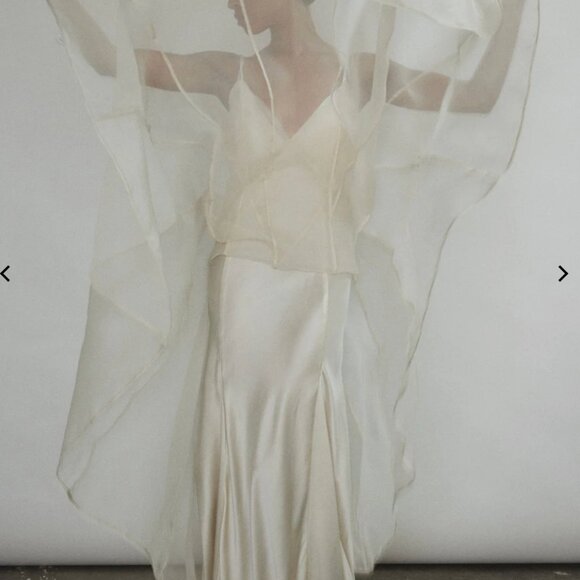 Lalique Gown - Alabaster - Size M - Top Only - Picture 7 of 7